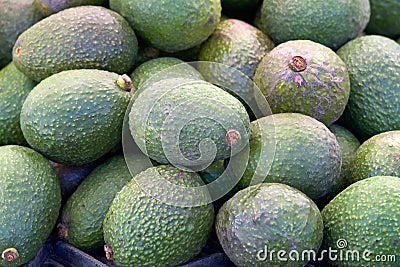 Close up on pile of freshly picked avacados for sale at farmer's market Stock Photo