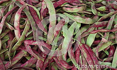 Close up of pile of green and purple string beans. Ripe string beans background Stock Photo