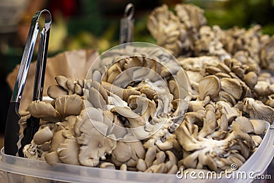 Pile of oyster mushrooms in display at market Stock Photo