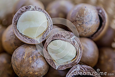 Close up pile ripe macadamia nut. Stock Photo