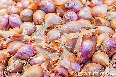 Close up of a pile of small, purple shallots being sold at a farmer`s market. Skin is dry and peeling but these scallions are fre Stock Photo