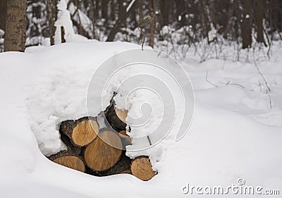 Close-up of pile of snow covered timber logs Stock Photo