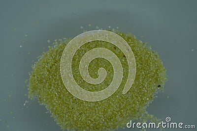 Close up of a pile of yellow sugar Stock Photo