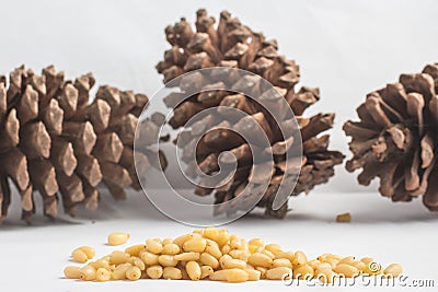 Close-up on Pine Nuts Stock Photo
