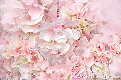 Close up Pink Artificial Flowers soft light abstract background Stock Photo