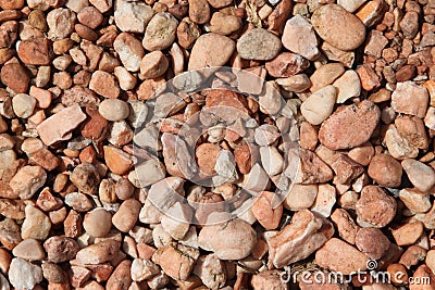 Close-up of a pink gravel background of a mineral mulch Stock Photo