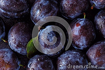 Close up of plum on dark Stock Photo