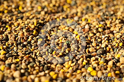 close-up of pollen, grainy texture Stock Photo