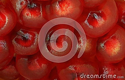 Close up of Pomegranate grains Stock Photo