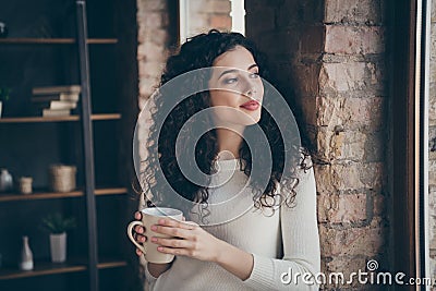 Close-up portrait of her she nice attractive lovely charming dreamy cheerful thoughtful wavy-haired girl drinking coffee Stock Photo