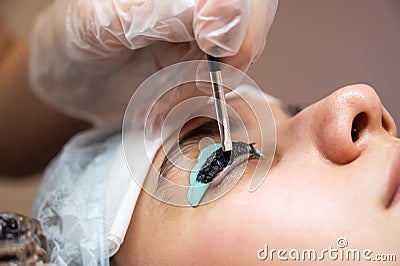 Close-up portrait of a woman on eyelash lamination procedure. The master applies tint to the eyelashes. Stock Photo