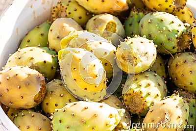 Close up of prickly pear cactus fruit on the plastic box. Ripe fruit. Stock Photo