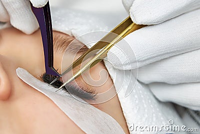 Close-up of the process of gluing eyelashes by a cosmetologist Stock Photo