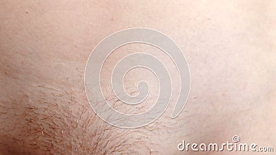 Not Shaved Close-up of Pubic Hair on the Female Body. Stock Video - Video  of area, natural: 112217295