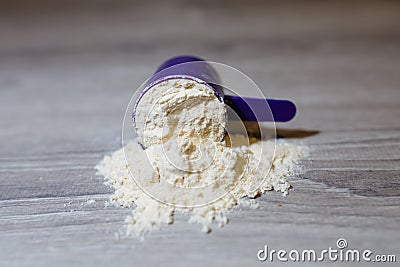 Close-up purple scoop in protein powder slides Stock Photo