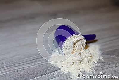 Close-up purple scoop in protein powder slides Stock Photo