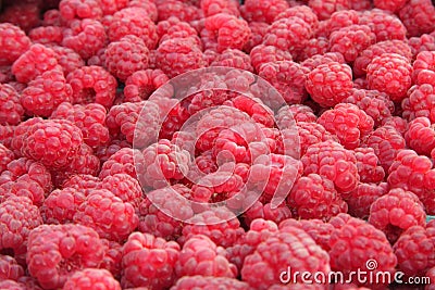 Close-up of raspberries Stock Photo