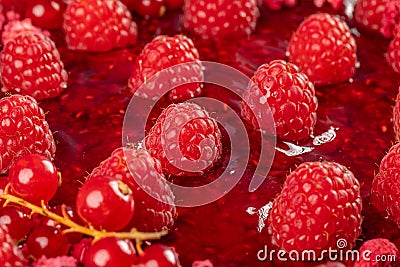 Close up of raspberry jelly l Stock Photo