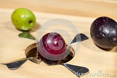 Close-up of raw olive over blades of traditional wooden slitter Stock Photo