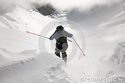 close-up rear view of skier descending from mountain on powdery snow on splitboard Stock Photo