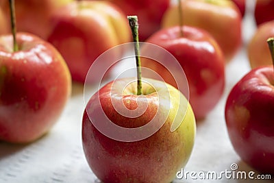 Close up of red crab apples in rows Stock Photo