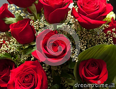 Close up of red rose bouquet with roses Stock Photo