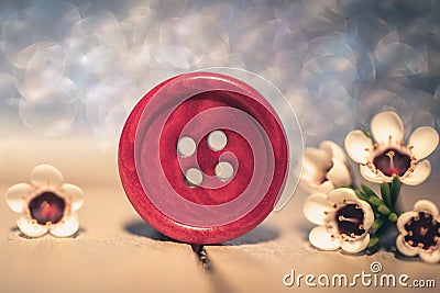 Close-up of a red sewing button on a wooden table with little cactus flowers Stock Photo