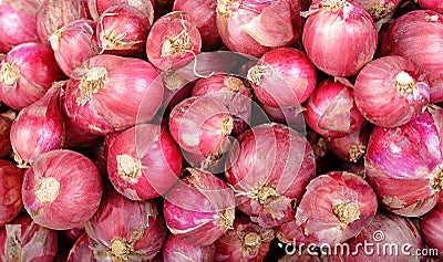 Close up red shallot background texture Stock Photo