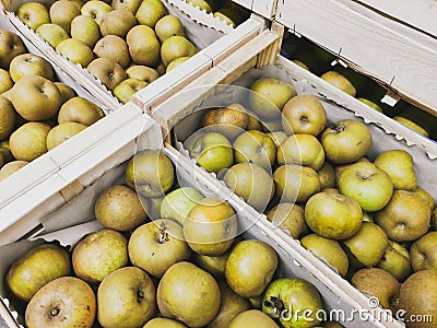 Close up of reinette grise du canada apples in wooden crates. Prepared for sale. Wooden box Stock Photo