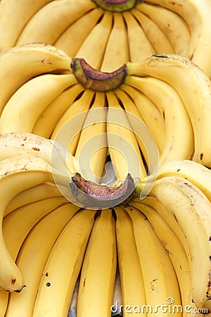 Banana Stock Photo