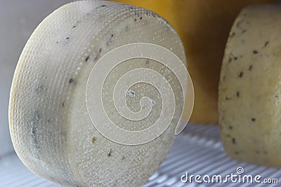 Close-up of ripe cheese head with additives Stock Photo