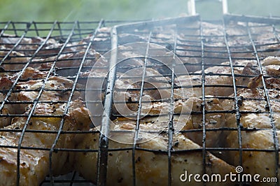 close-up: roast porkmeat inside grill on fire with smoke Stock Photo