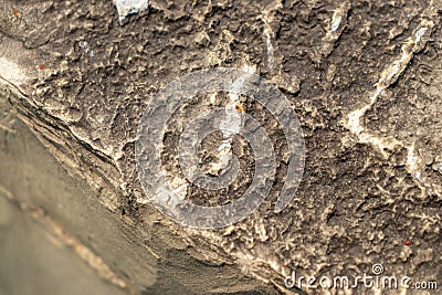 Close-up of rough, jagged rock surface with brown, gray, white and red colors - bottom left corner blurred Stock Photo