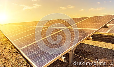 Close up rows array of polycrystalline silicon solar cells or photovoltaics in solar power plant on sunset Stock Photo
