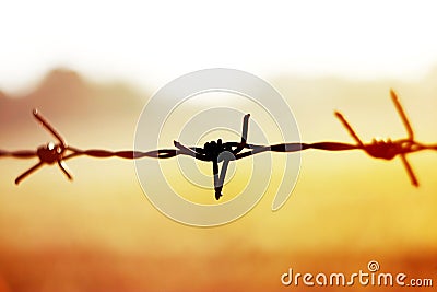 Close up Rusty barbed with gold sunlight Stock Photo