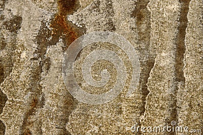 Close up Rusty galvanize iron Stock Photo