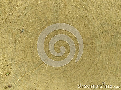 Close up sawed tree stump brown Stock Photo