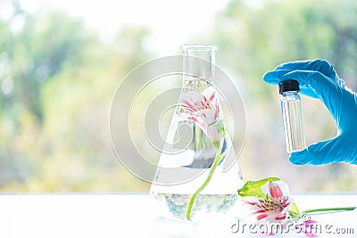 Close up scientist hand holding essential oils with fresh flower. Lab research for scent extract for the new skincare product Stock Photo