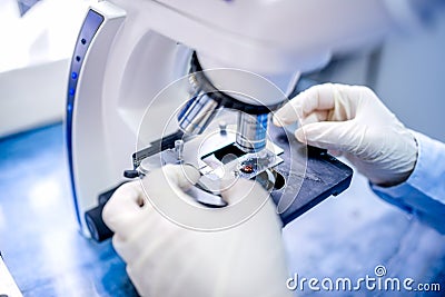 close-up of scientist hands with microscope, examining samples Stock Photo