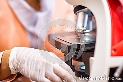 Close-up of scientist hands with Stock Photo