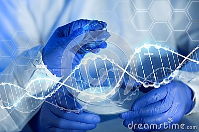 Close up of scientists hands with chemicals in lab Stock Photo