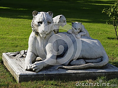 Close up of the sculpture of a lioness with cubs in the garden of Dolmabahce Palace. Editorial Stock Photo