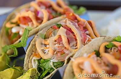 Close up of Seafood Taco Trio Stock Photo