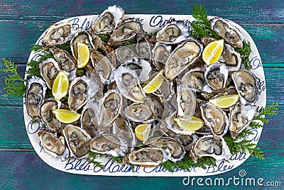 Close-up of sealed shells of fresh oysters, lemon in large plate. The concept of a picnic. Luxury seafood. green wooden Stock Photo