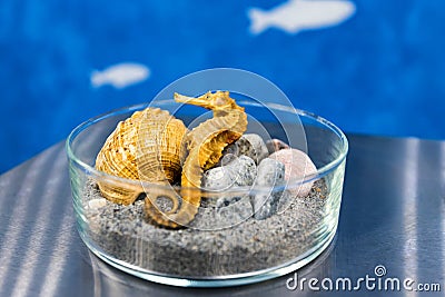 Decorative art, imitated sea in small glass tray Stock Photo