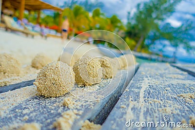 Close up of selective focus of small balls of sand after crabs lunch over a wooden structure in the beach of isla Stock Photo