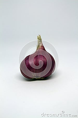 Close-up of shallot on white background . Stock Photo