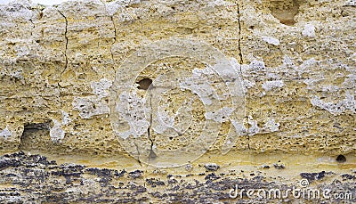 Close-up of shell rock texture. Rough surface of coquina limestone. Natural background Stock Photo