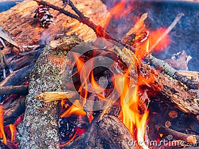Close up shot of a camp fire in Beavers Bend State Park Stock Photo