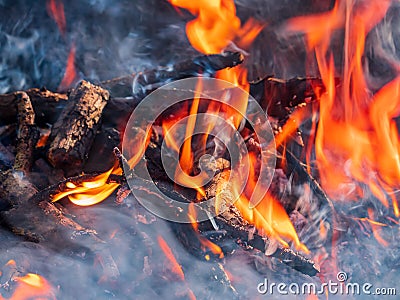 Close up shot of a camp fire in Beavers Bend State Park Stock Photo